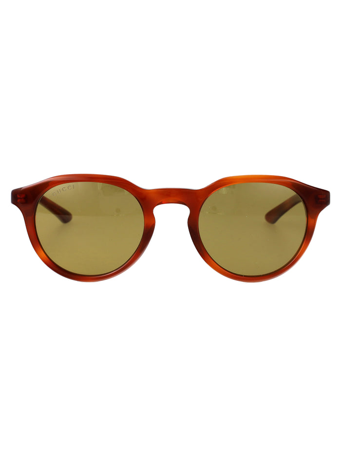 Gg2079s Havana-havana-green Acetate Sunglasses