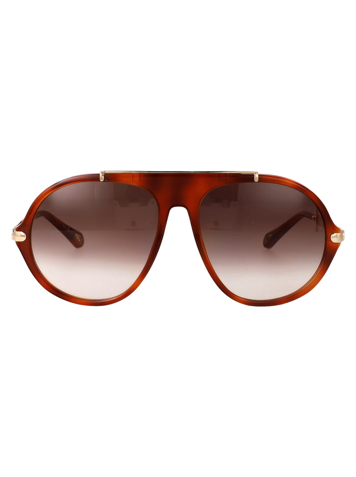 Ch0357s Havana-gold-brown Acetate Sunglasses