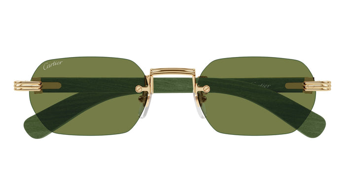 Ct0362s-006 Nd Titanium Sunglasses