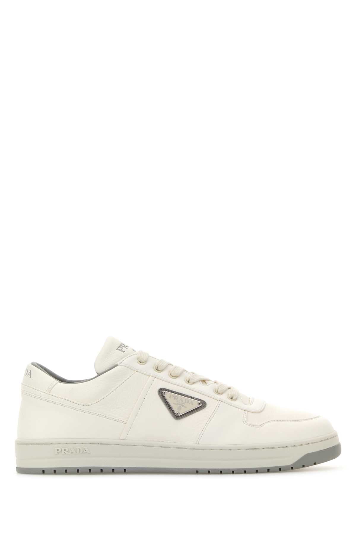 Avorio Cervuselaphusscot.-agnello Sneaker