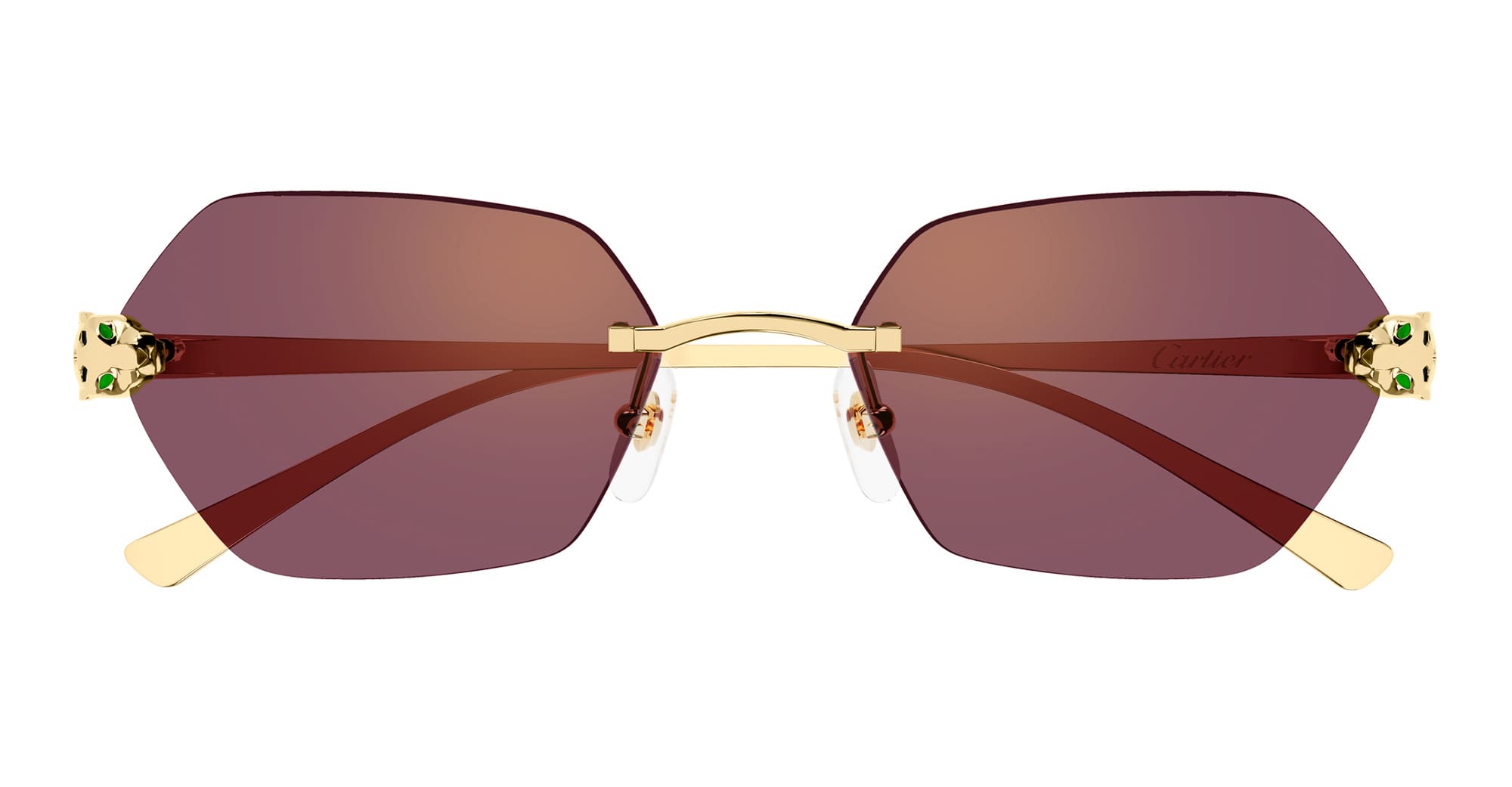 Ct0636s-003 Nd Metal Sunglasses