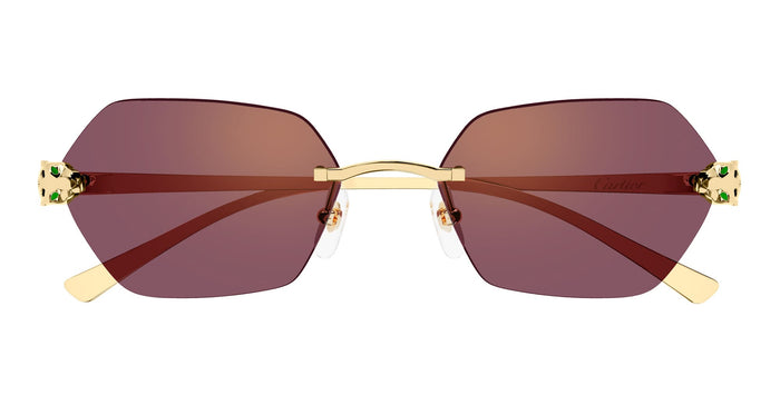 Ct0636s-003 Nd Metal Sunglasses