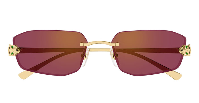 Ct0474s-002 Nd Metal Sunglasses