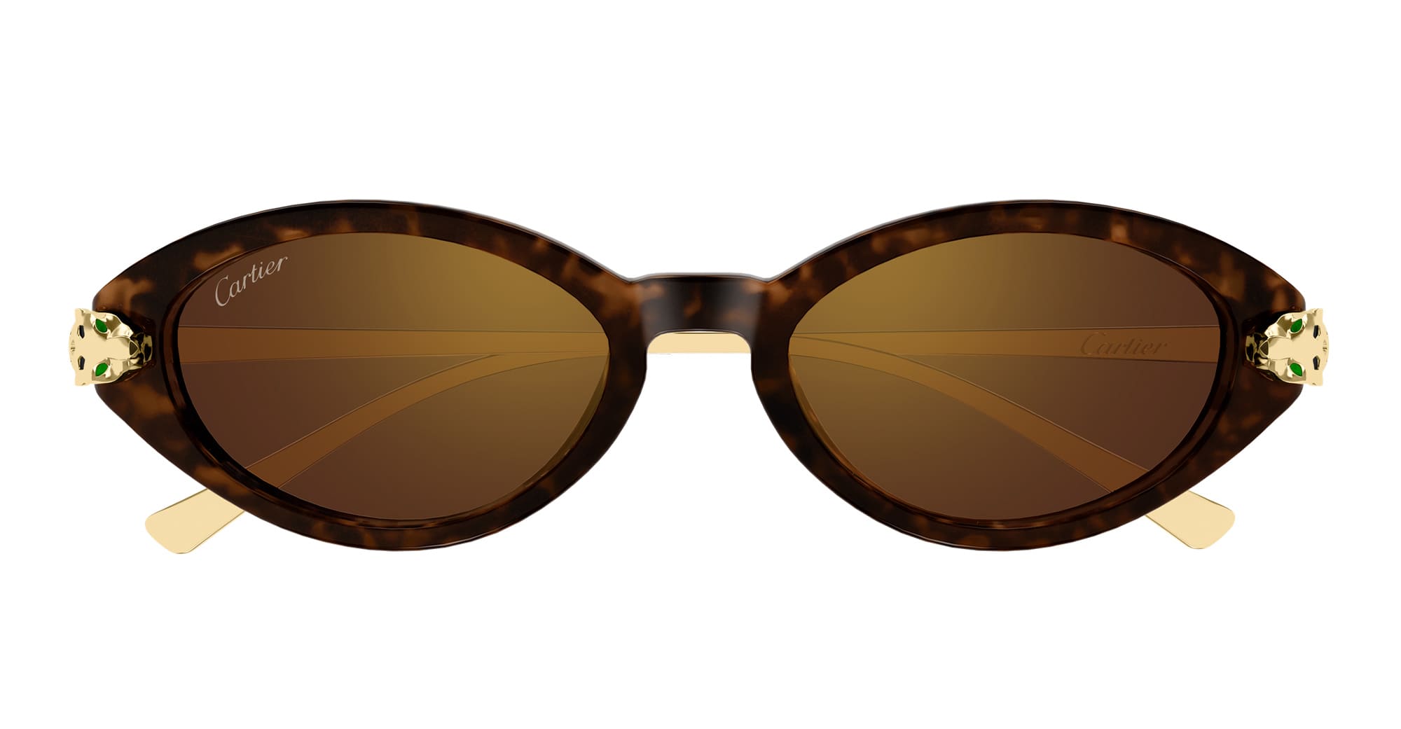 Ct0634s-002 Nd Acetate Sunglasses
