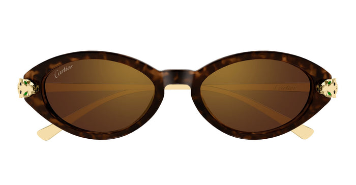 Ct0634s-002 Nd Acetate Sunglasses