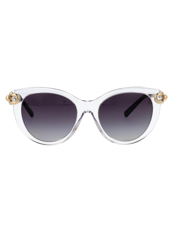 0tf4232 80473c Transparent Acetate Sunglasses