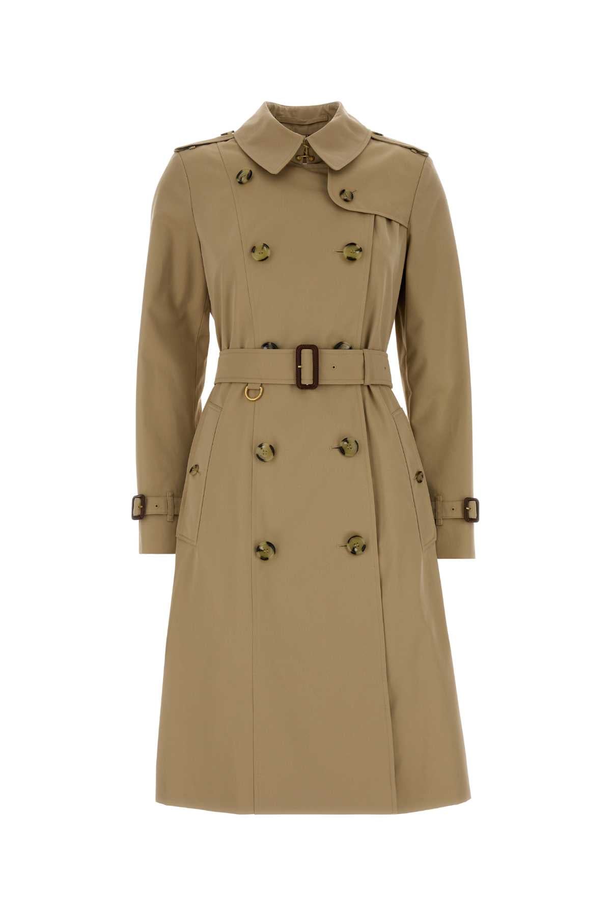 Honey Cotton Trench