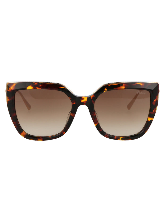 Sch319m 0745 Brown Titanium Sunglasses