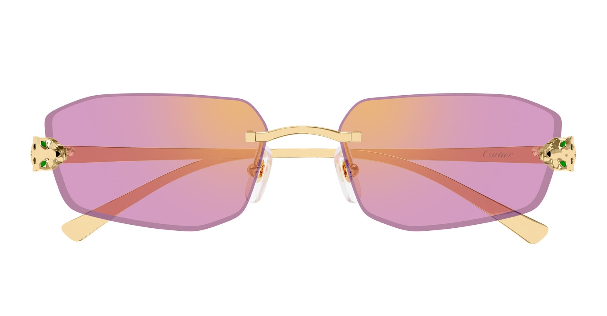Ct0474s-006 Nd Metal Sunglasses