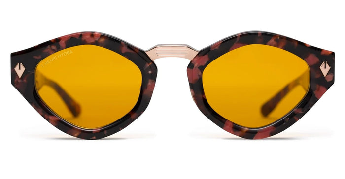 Hcs004 Nd Acetate Sunglasses
