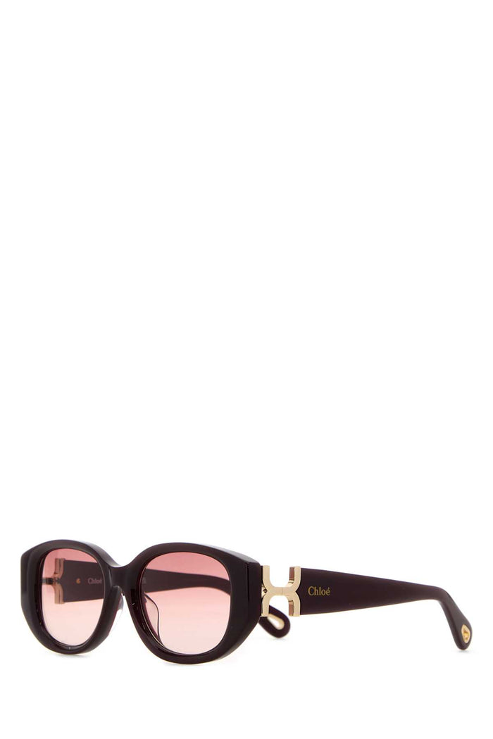 Burgundy Acetate Sunglasses 54 Exterior: Occhiali Da Sole