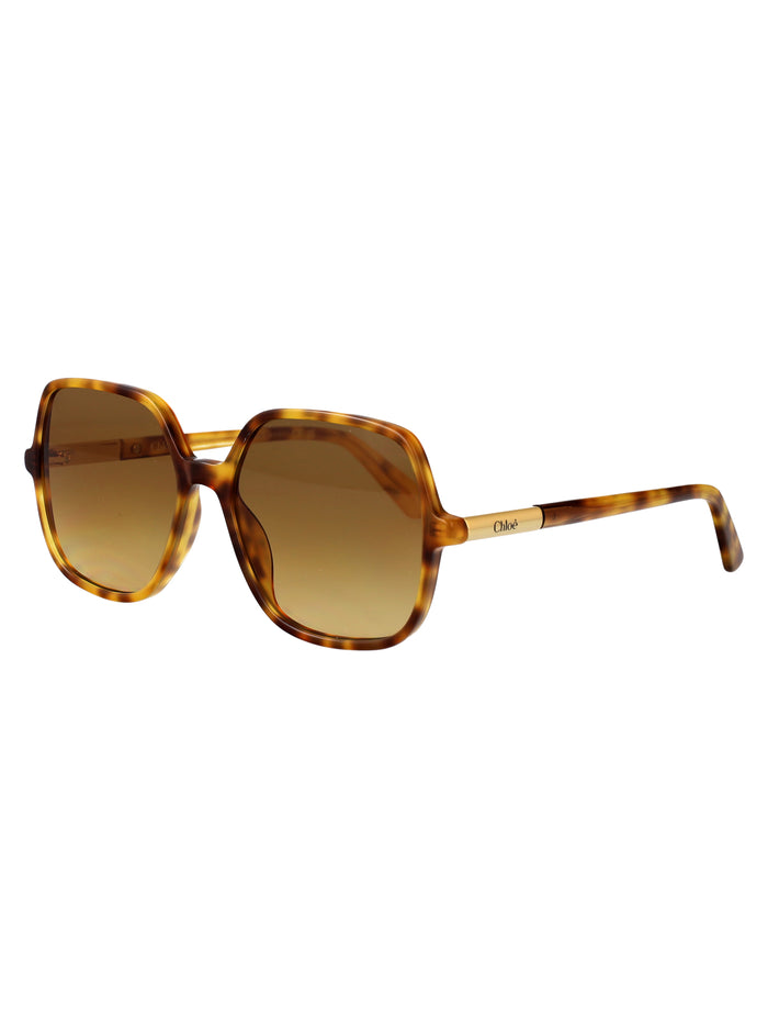 Ch0362s Havana-havana-brown Acetate Sunglasses