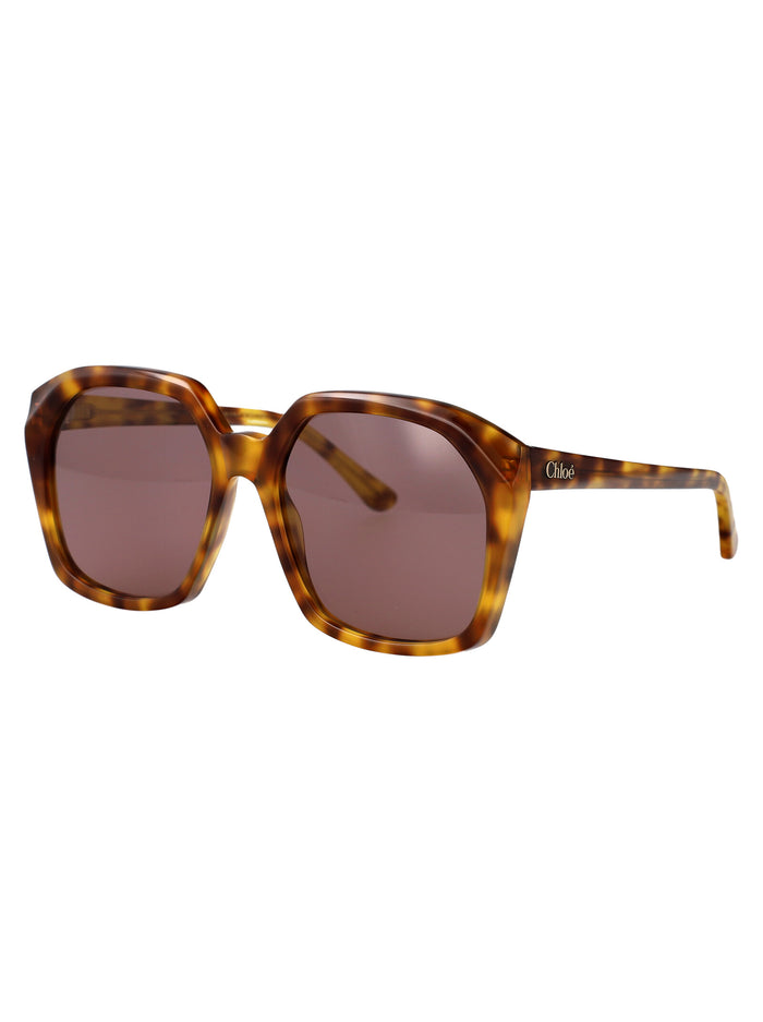 Ch0280s 004 Havana-havana-violet Acetate Sunglasses
