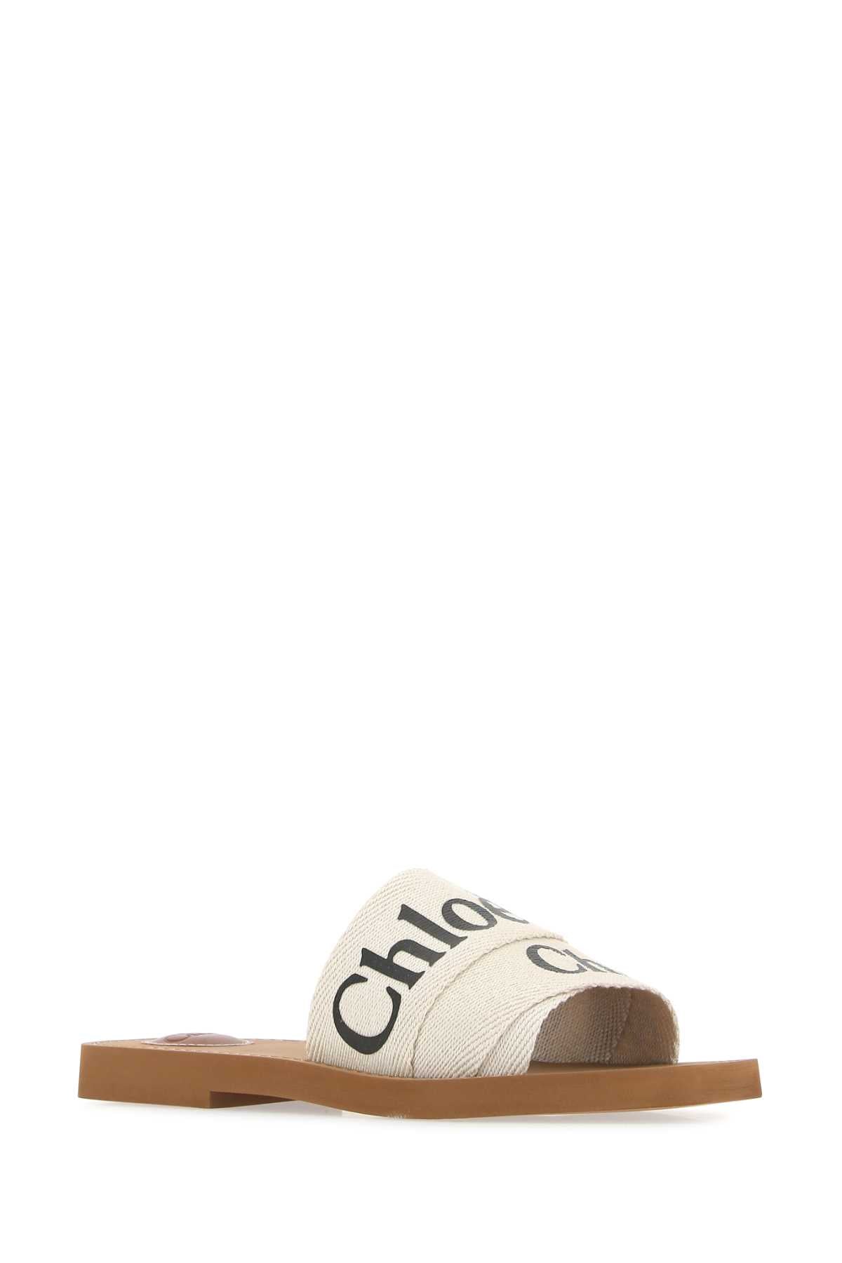 101 Slippers