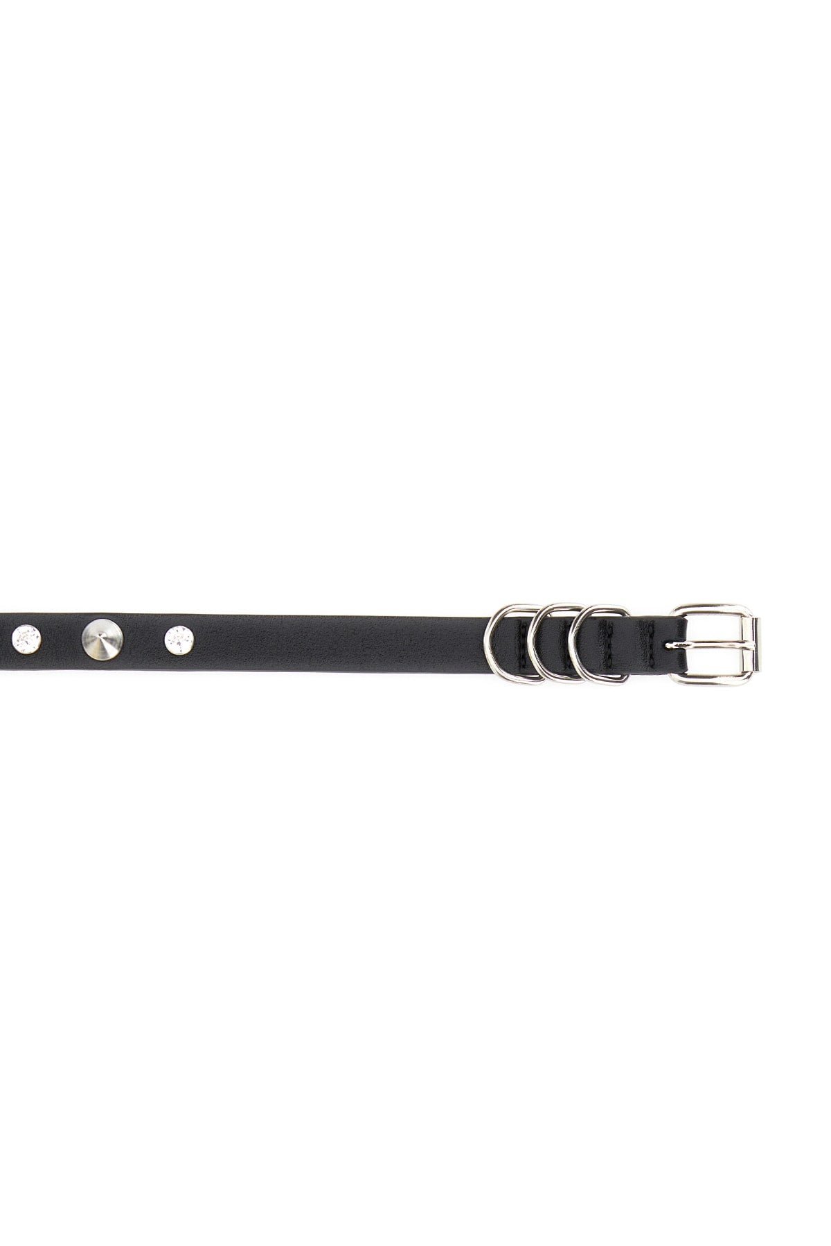 Black Belt