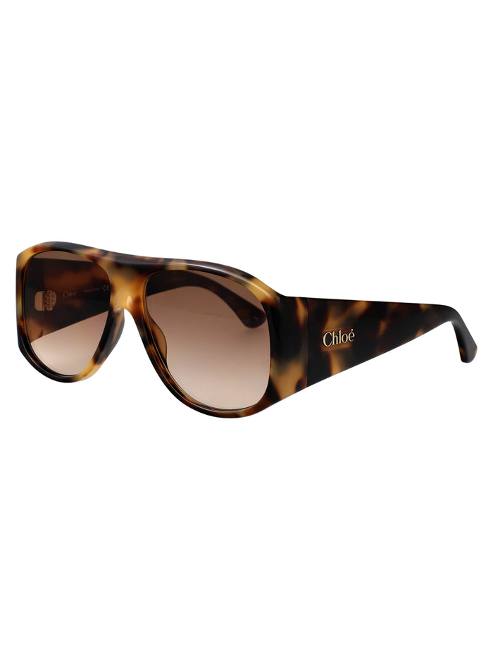 Ch0347s Havana-havana-brown Recycled Acetate Sunglasses