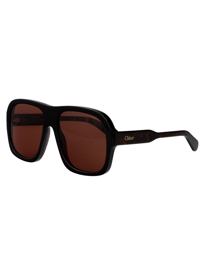 Ch0331s Havana-havana-brown Recycled Acetate Sunglasses
