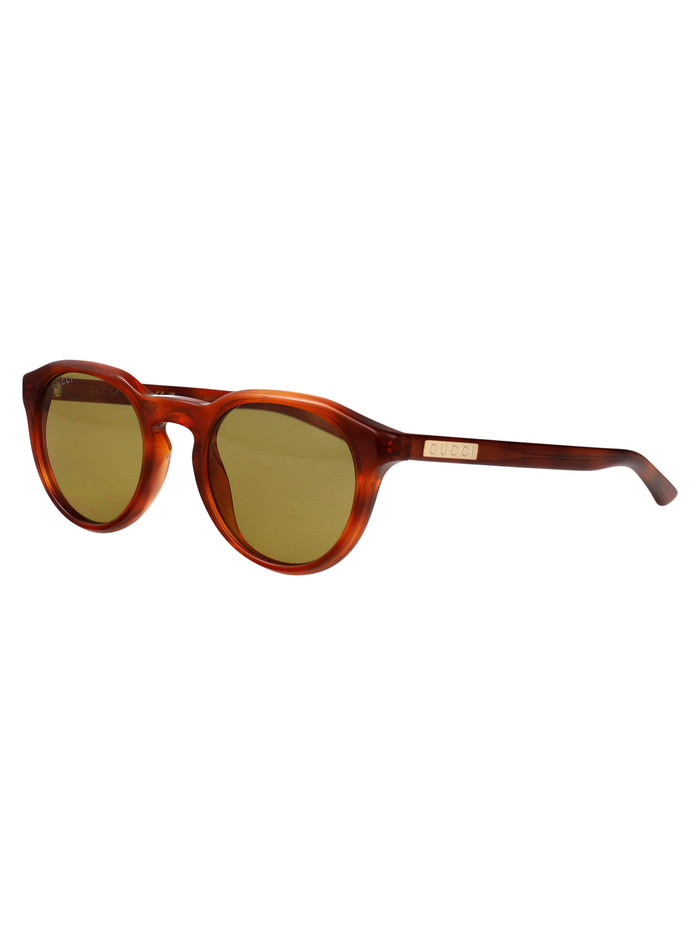 Gg2079s Havana-havana-green Acetate Sunglasses