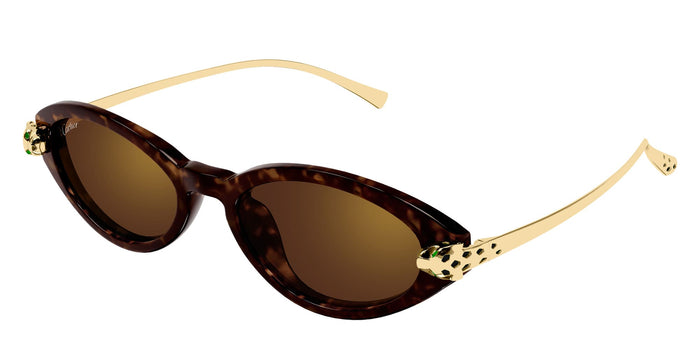 Ct0634s-002 Nd Acetate Sunglasses