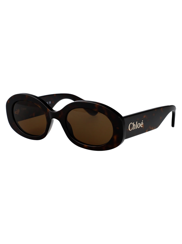 Ch0258s Havana-havana-brown Acetate Sunglasses