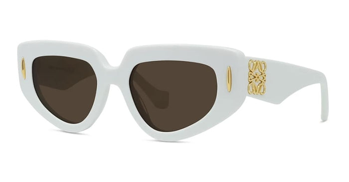 Lw40160i5125e Nd Acetate Sunglasses