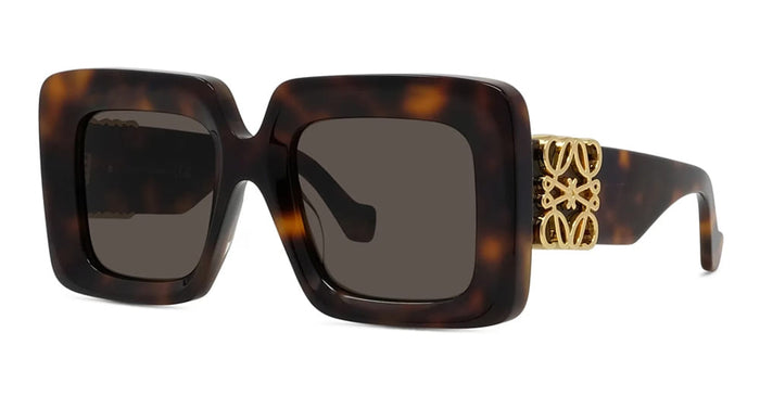 Lw40176u5152e Nd Acetate Sunglasses