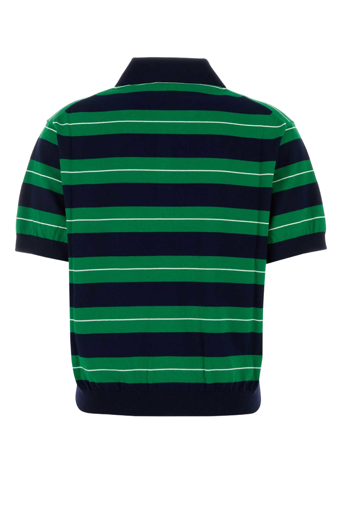 Embroidered Cotton Polo Shirt Bluverde Co-trochusniloticus