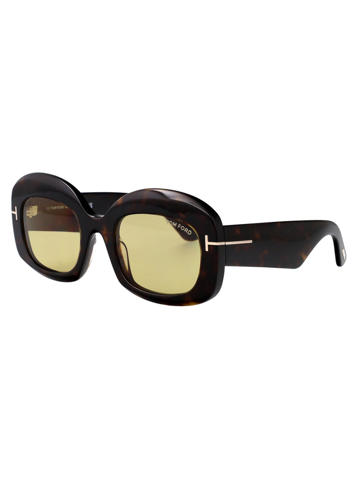 Avana Scura / Marrone Acetate Sunglasses