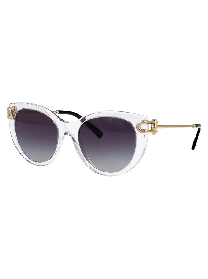 0tf4232 80473c Transparent Acetate Sunglasses