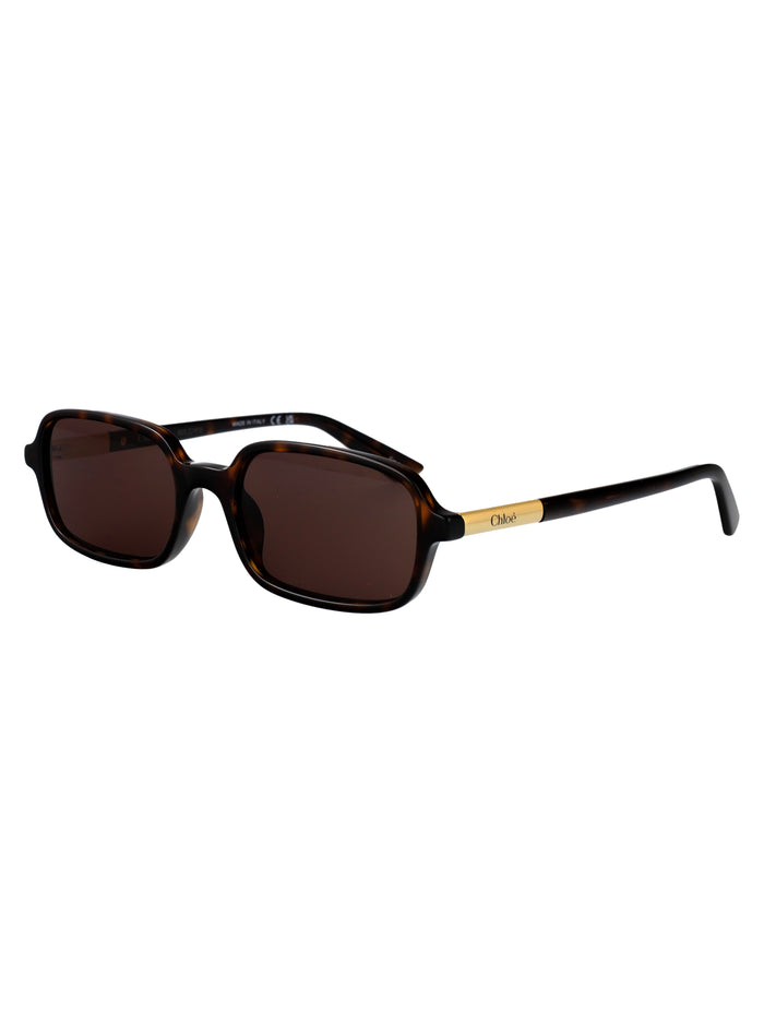 Ch0363s Havana-havana-brown Acetate Sunglasses