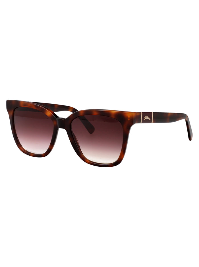 Lo696s 230 Havana Acetate Sunglasses
