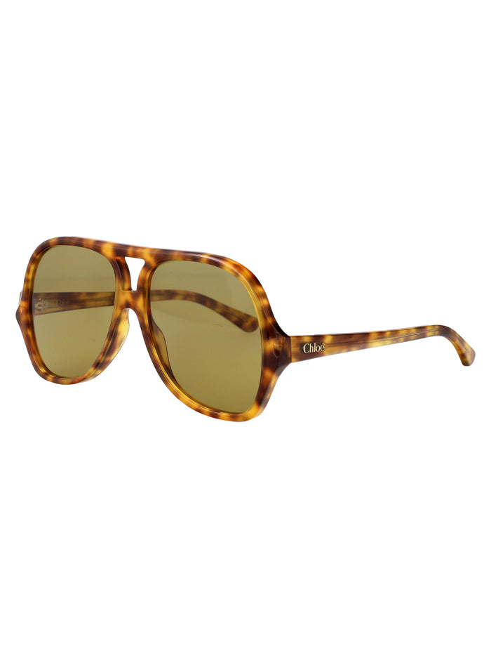 Havana-havana-green Acetate Sunglasses
