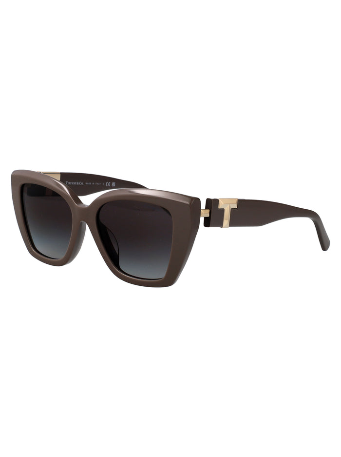 0tf4239u Chocolate Truffle Acetate Sunglasses