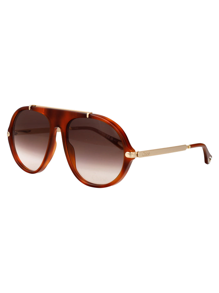 Ch0357s Havana-gold-brown Acetate Sunglasses