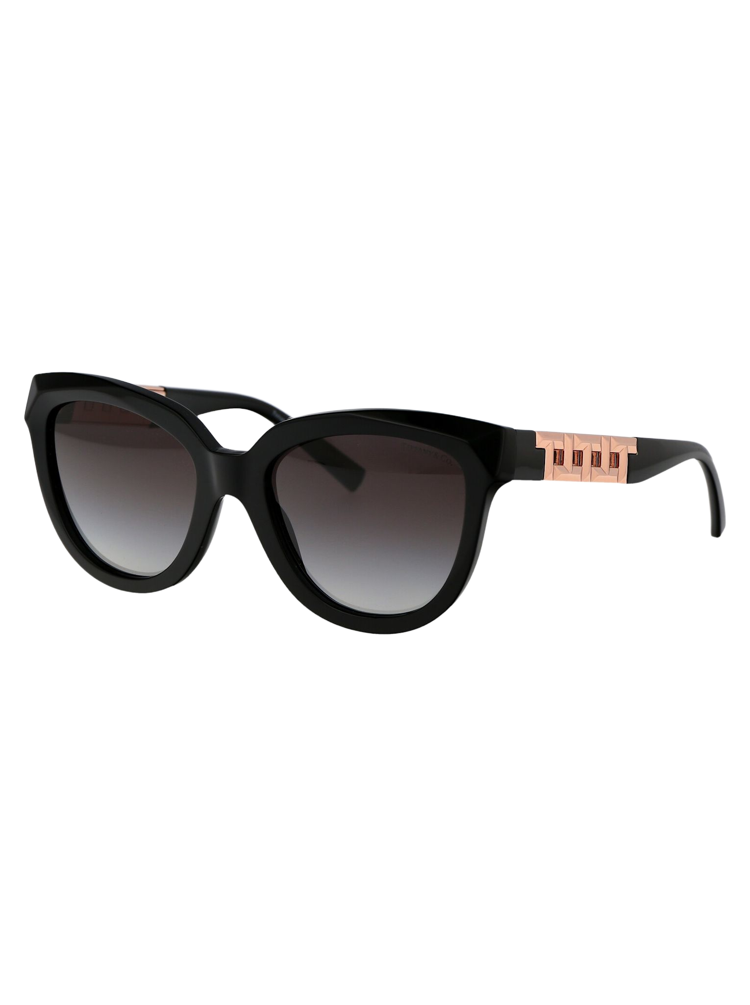 0tf4215 80013c Black Acetate Sunglasses
