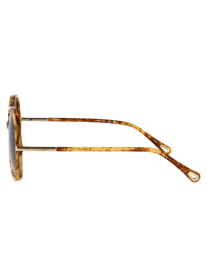 Ch0383s Havana-havana-brown Acetate Sunglasses