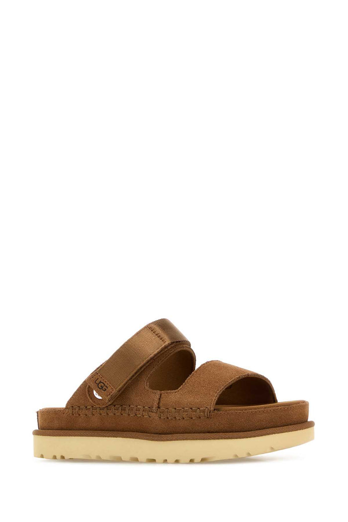Biscuit Suede Goldenstar Slippers Chestnut Upper Material Leather