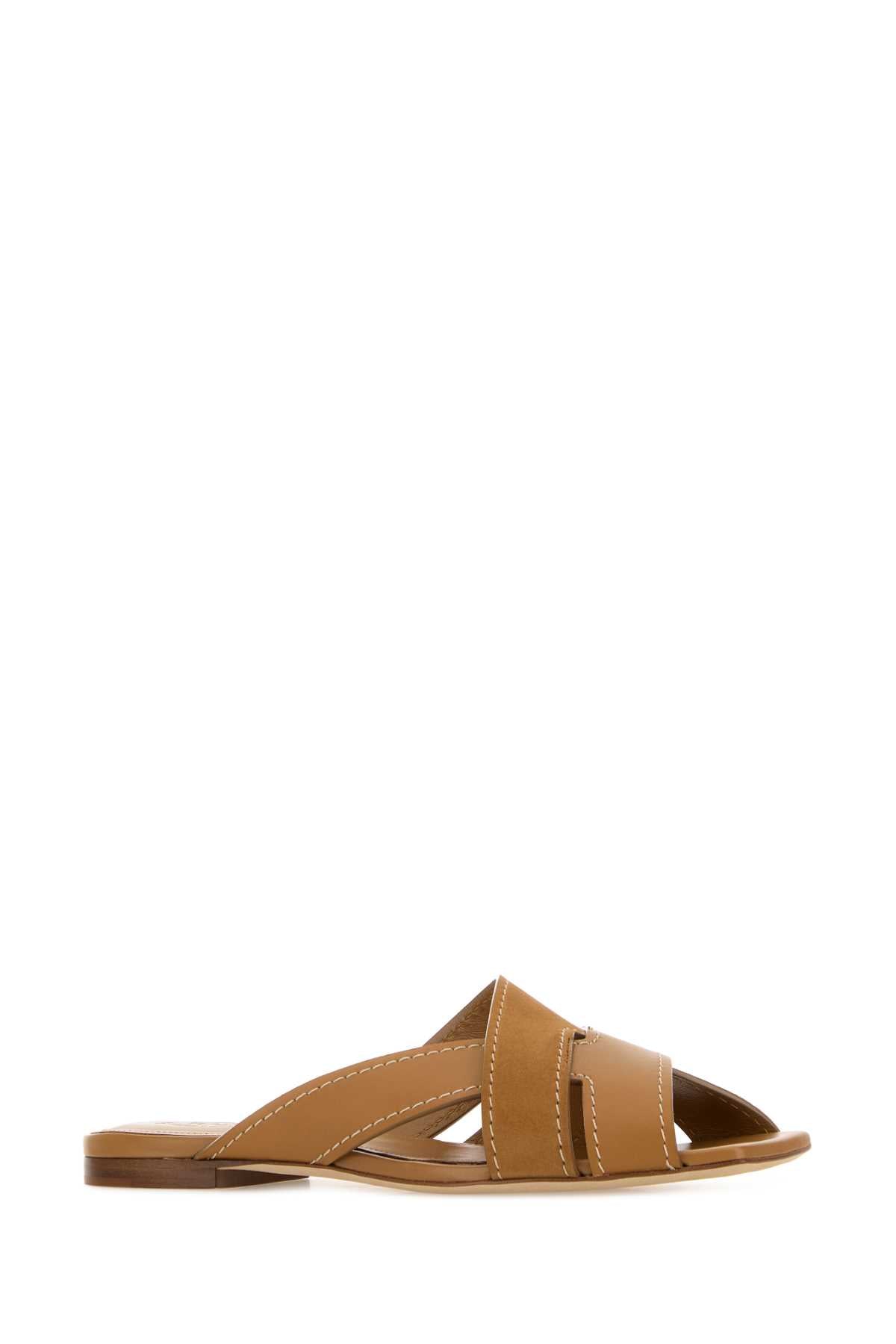 C800bis Slippers