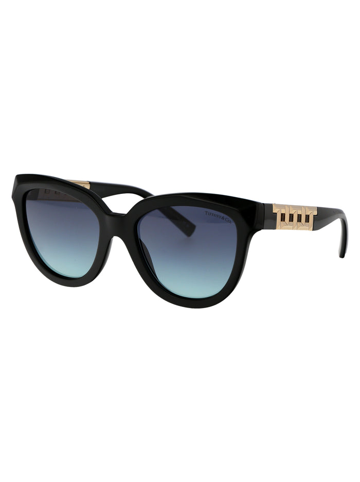 0tf4215 83429s Black Acetate Sunglasses