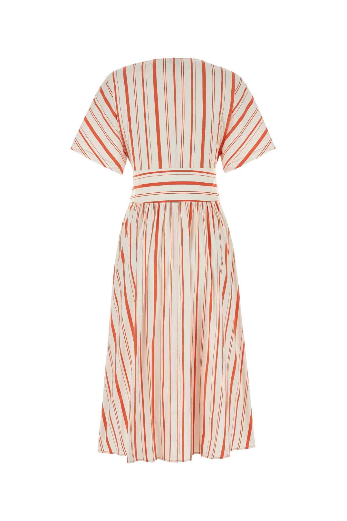 Embroidered Stretch Cotton Blend Dress Plasterwhitestripe Abiti