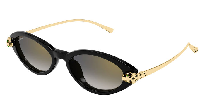 Ct0634s-001 Nd Acetate Sunglasses