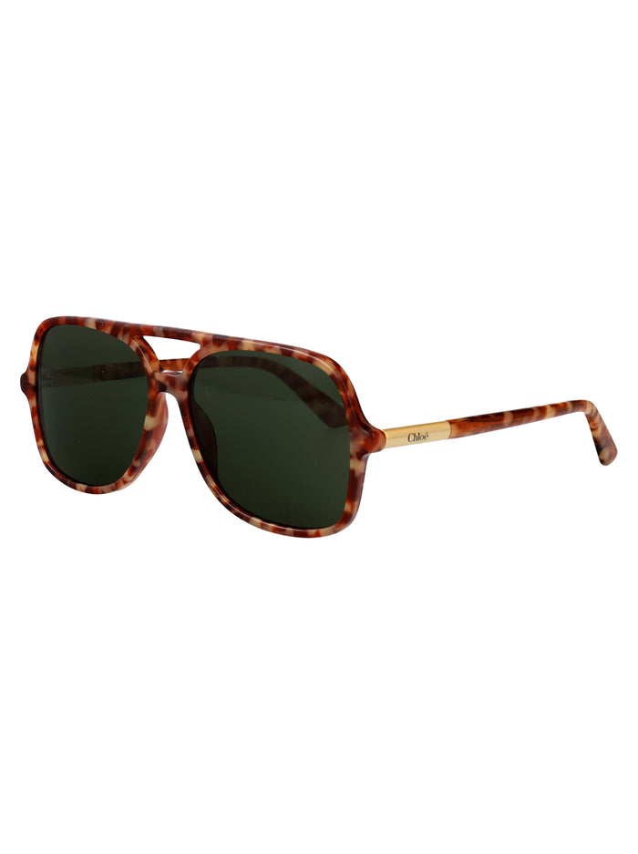 Ch0364s Havana-havana-green Acetate Sunglasses