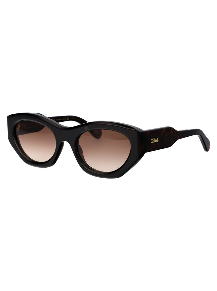 Ch0220s Havana-havana-brown Acetate Sunglasses