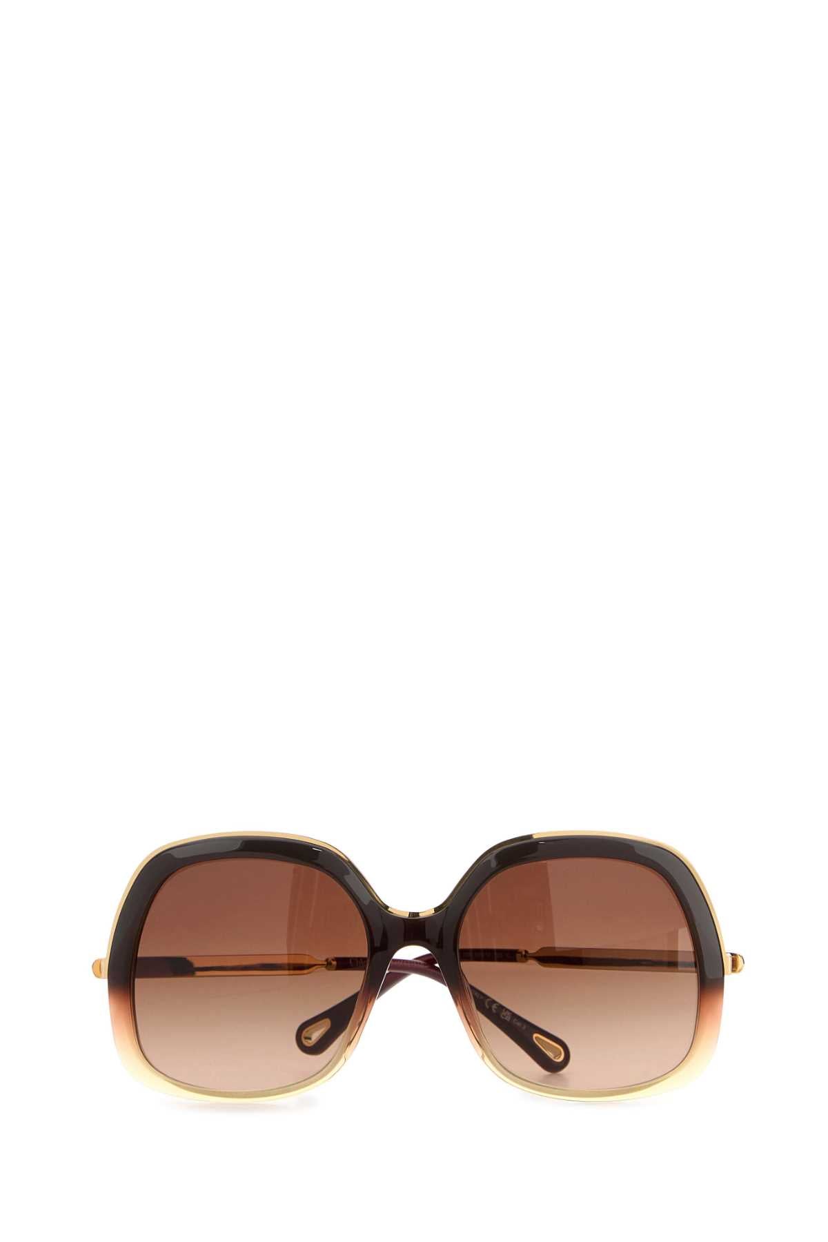Browngoldbrown Exterior: Acetate Occhiali Da Sole
