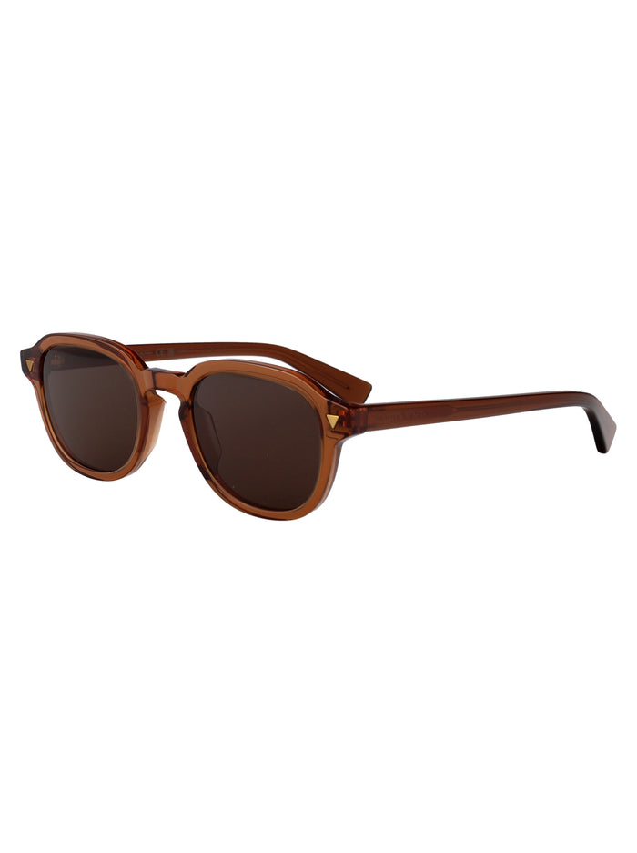 Bv1364s Brown-brown-brown Acetate Sunglasses