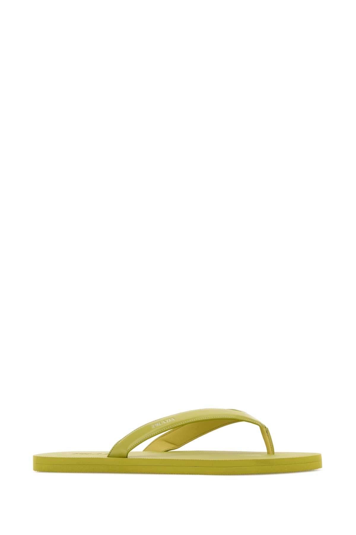 Lime Slippers