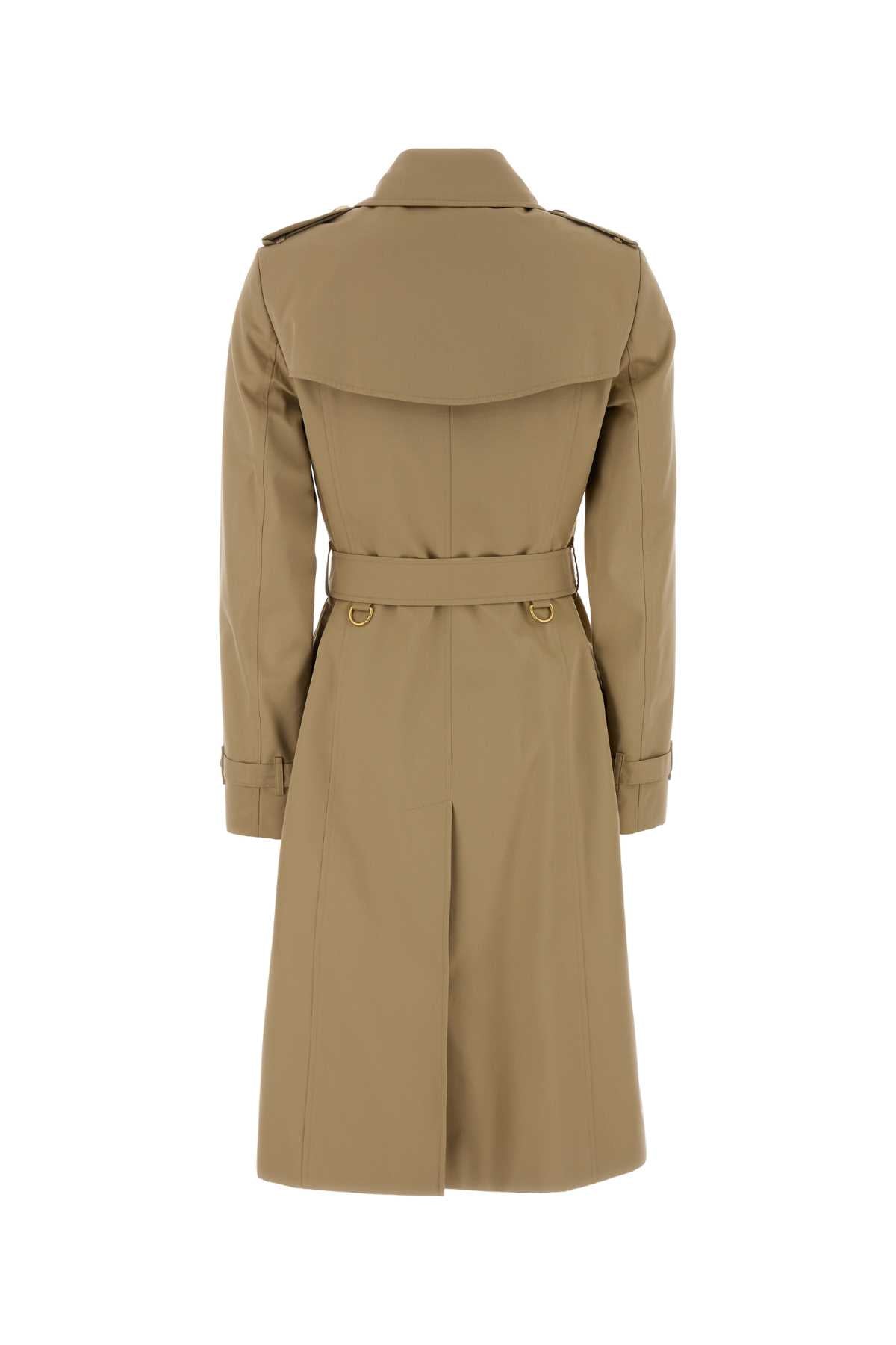 Honey Cotton Trench