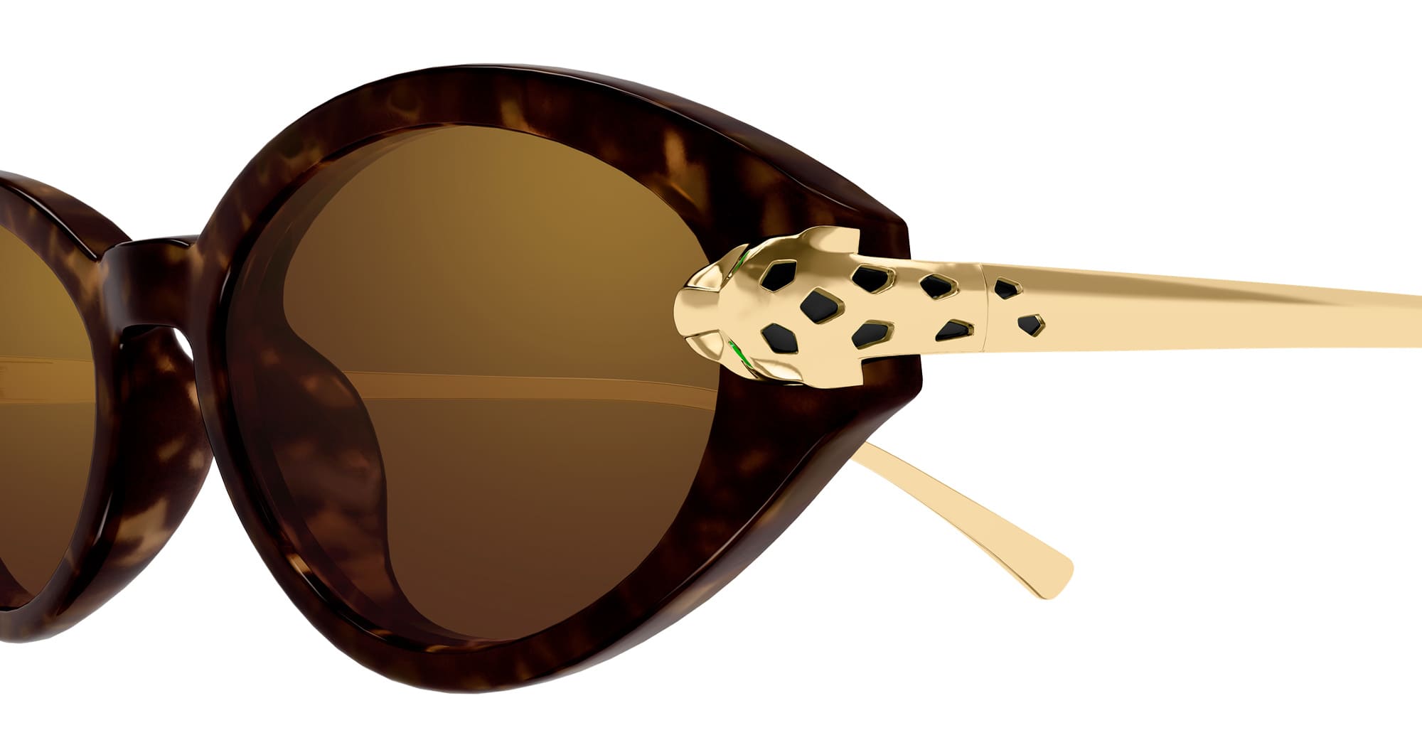 Ct0634s-002 Nd Acetate Sunglasses