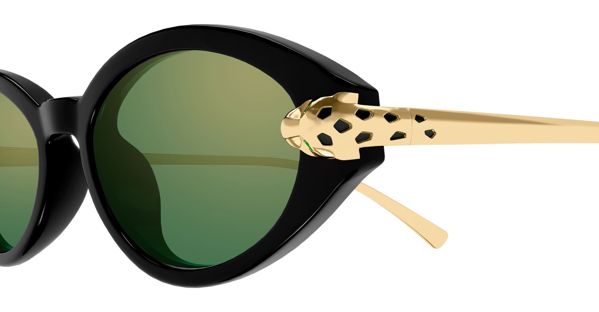 Ct0634s-004 Nd Acetate Sunglasses