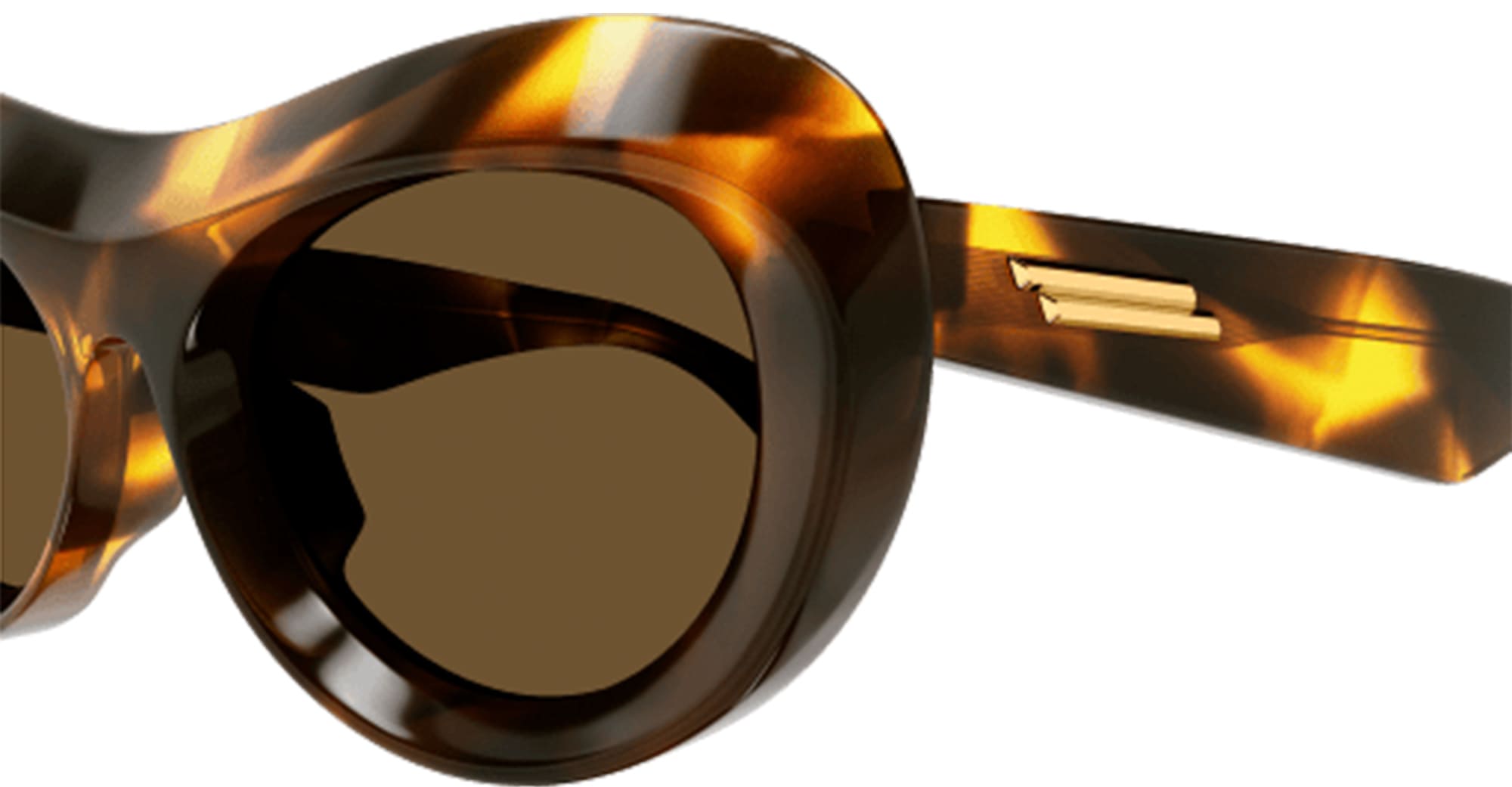 Bv1284s-002 Nd Acetate Sunglasses